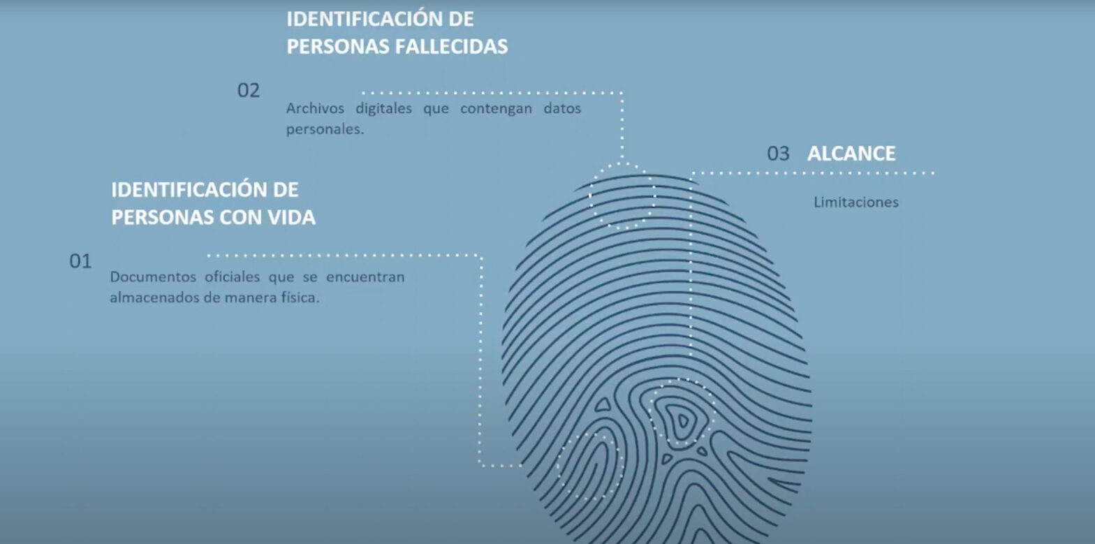huellas dactilares para la identificación
